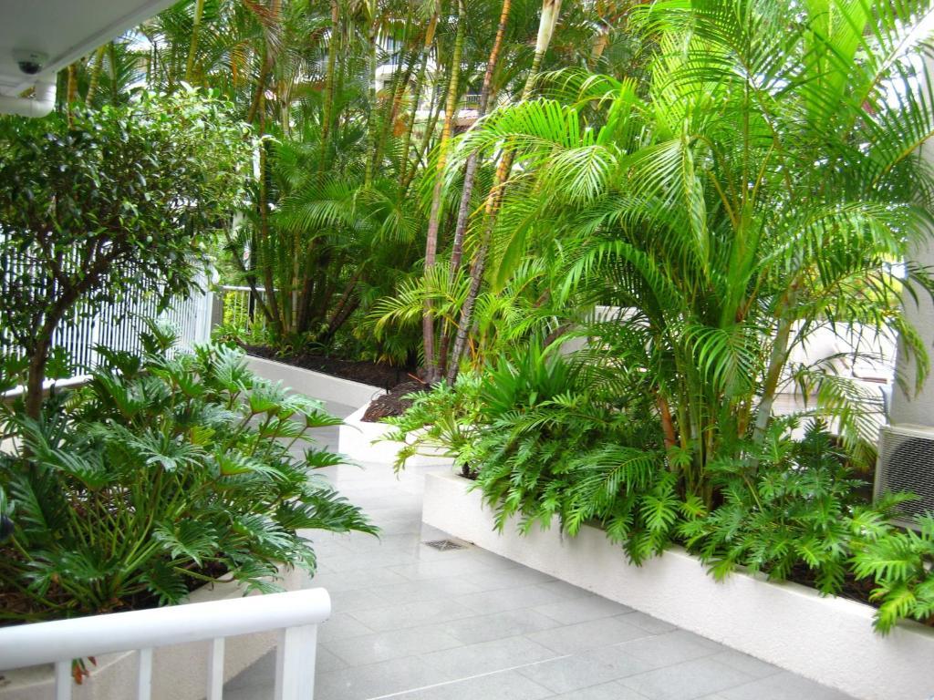 Costa D'Ora Holiday Apartments Gold Coast Bagian luar foto